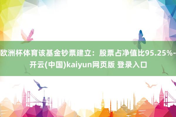 欧洲杯体育该基金钞票建立:股票占净值比95.25%-开云(中国)kaiyun网页版 登录入口