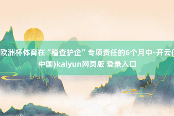 欧洲杯体育在“稽查护企”专项责任的6个月中-开云(中国)kaiyun网页版 登录入口