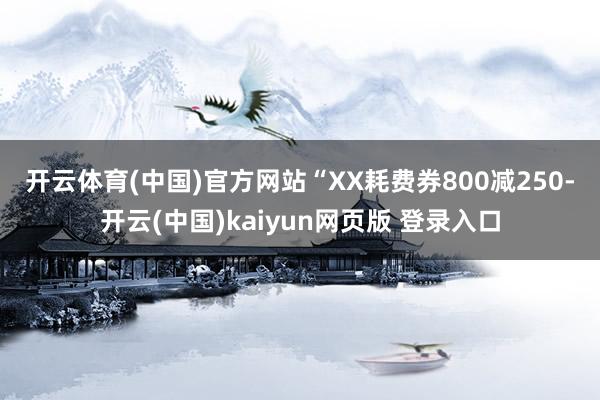 开云体育(中国)官方网站　　“XX耗费券800减250-开云(中国)kaiyun网页版 登录入口