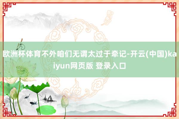 欧洲杯体育不外咱们无谓太过于牵记-开云(中国)kaiyun网页版 登录入口
