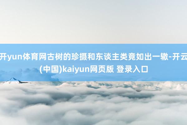 开yun体育网古树的珍摄和东谈主类竟如出一辙-开云(中国)kaiyun网页版 登录入口